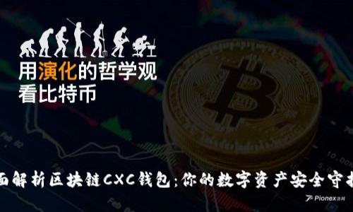 全面解析区块链CXC钱包：你的数字资产安全守护神