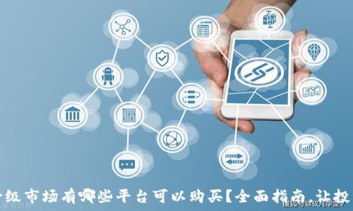   
虚拟币一级市场有哪些平台可以购买？全面指南，让投资更简单