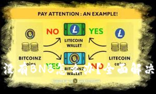 TP钱包里没有BNB怎么办？全面解决方案解析