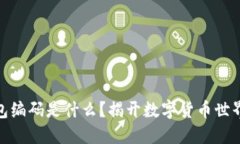 数字货币钱包编码是什么？揭开数字货币世界的
