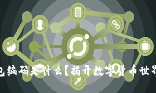 数字货币钱包编码是什么？揭开数字货币世界的神秘面纱