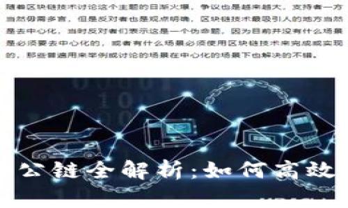 TP钱包支持的公链全解析：如何高效管理加密资产
