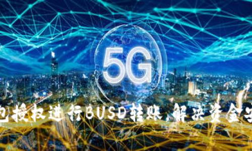 如何申请TP钱包授权进行BUSD转账，解决资金安全与便捷问题