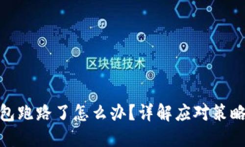 加密货币钱包跑路了怎么办？详解应对策略与保障措施