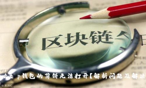 为什么t p钱包的薄饼无法打开？解析问题及解决方案
