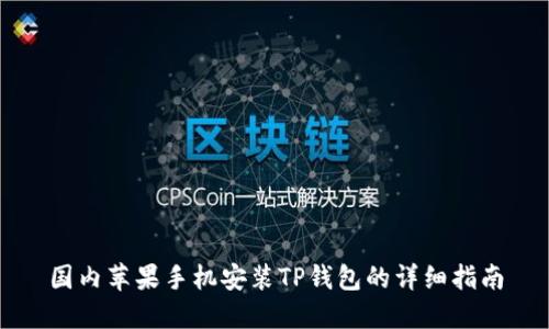 国内苹果手机安装TP钱包的详细指南