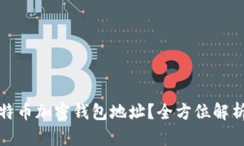 如何设置比特币加密钱包地址？全方位解析与实用技巧