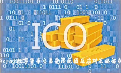 Gopay数字货币交易受限原因及应对策略解析
