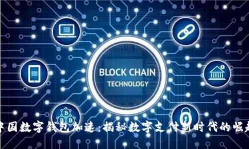 中国数字钱包加速：揭秘数字支付新时代的崛起