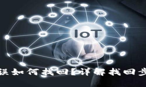 TP钱包转币错误如何找回?详解找回步骤和预防措施