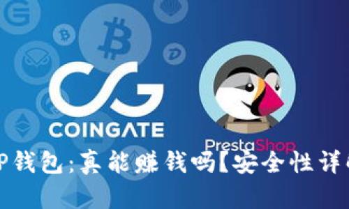 tP钱包：真能赚钱吗？安全性详解