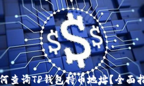 
如何查询TP钱包持币地址？全面指南