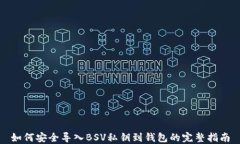 如何安全导入BSV私钥到钱包的完整指南