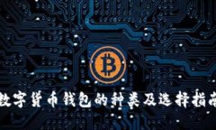 数字货币钱包的种类及选择指南