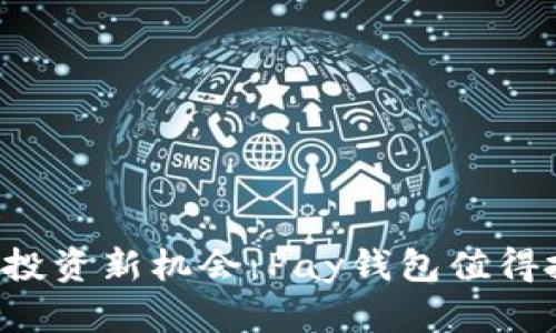 区块链投资新机会：Pay钱包值得投资吗？