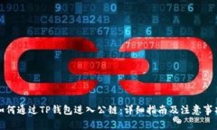 如何通过TP钱包进入公链：详细指南及注意事项